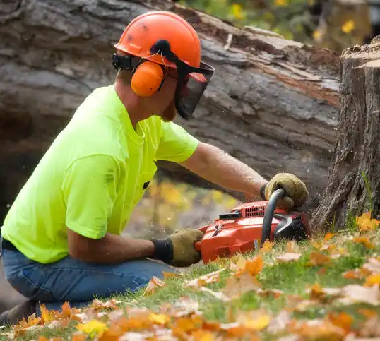 tree services Belford